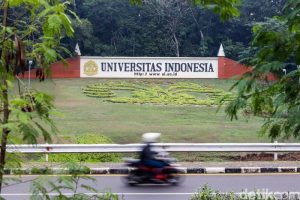 Statuta UI Direvisi, Tak Ada Lagi Larangan Rektor Rangkap Jabatan Komisaris