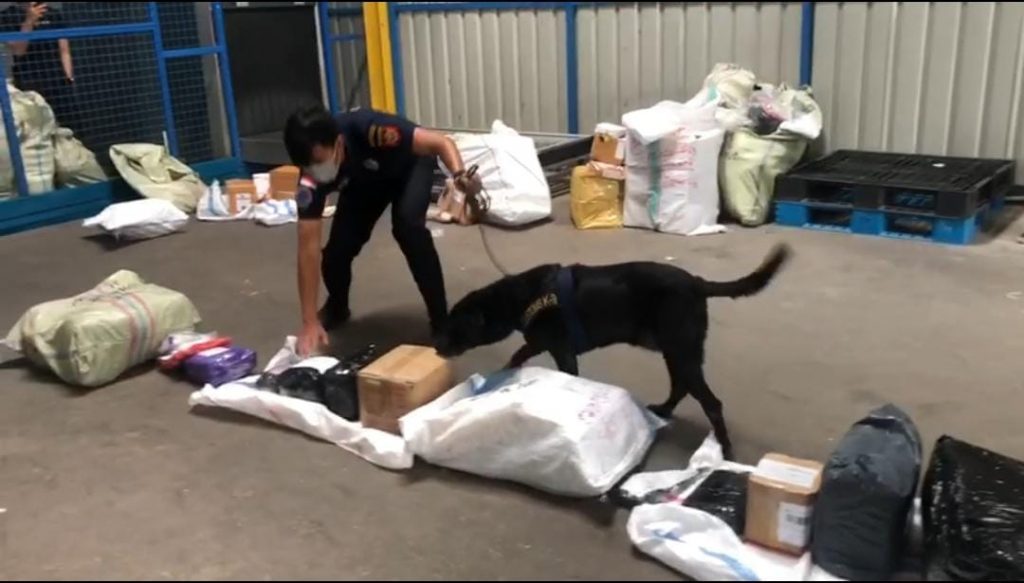 Anjing K-9 Bea Cukai Batam Lagi-Lagi Berhasil Temukan Barang Haram Dalam Barang Kiriman, Mengejutkan