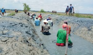 KKP Realisasikan PITAP Di Lamsel. Begini Lanjutan Programnya!