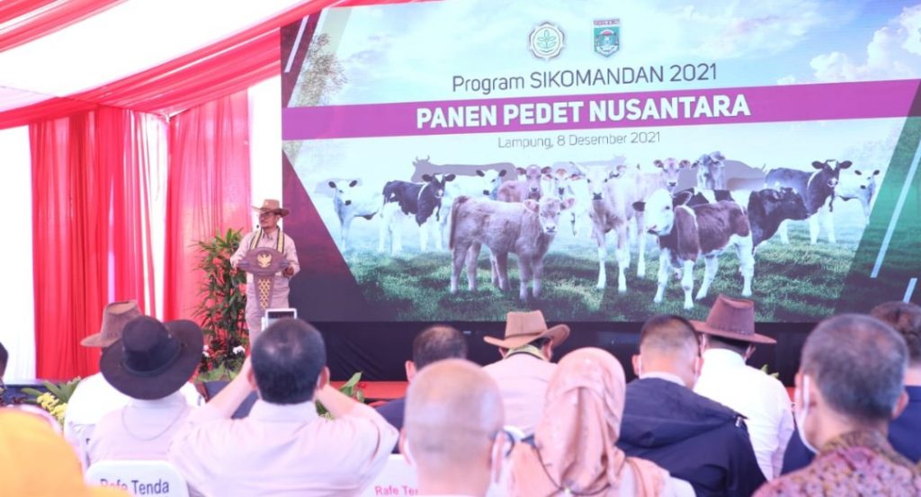 Mentan Dorong Provinsi Lampung Hasilkan 300.000 Bibit Sapi
