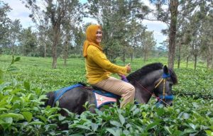 Tim Elang Prawita GENPPARI Olah raga Berkuda di Perkebunan Teh