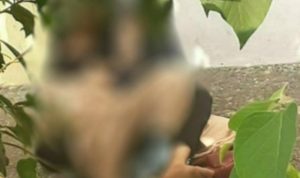 Berbuat Dosa di Kuburan, Pasangan Sejoli Ini Bikin Heboh Warga