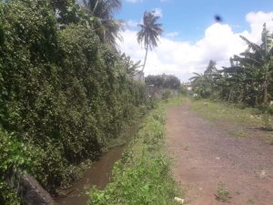 Dalam Kasus Situ Kayu Ampat, Pemkot Tangsel Jangan Berbisnis 