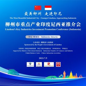 Pemerintah Liuzhou bersama KADIN Gelar Business Matching: Kunjungan Kemitraan Bisnis yang Potensial dan Strategis