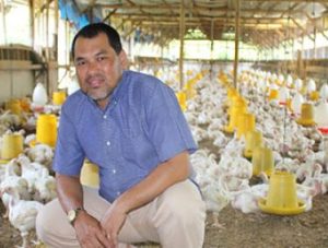 Peternak Unggas Kian Terpuruk, KPUN Meminta Presiden Turun Tangan