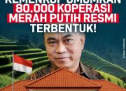 Menkop Budi Arie Berhasil Capai Target Pembentukan 80.000 Unit Koperasi Merah Putih