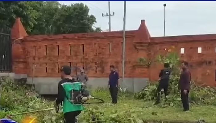 DLH Kabupaten Cirebon Intensifkan Pemangkasan Pohon Jelang Musim Hujan