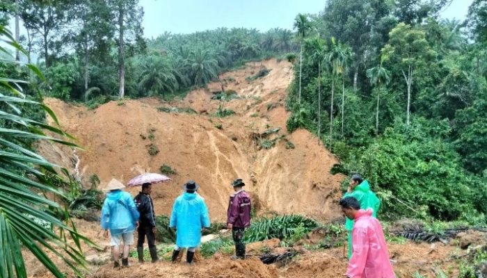 Pemulihan Ekosistem Mendesak: PPASDA Peringatkan Bencana Hidrometeorologi Akan Terus Berulang