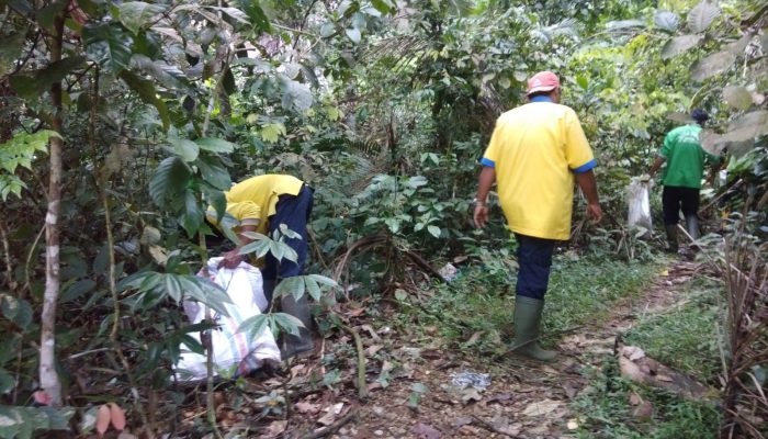 DLH Lima Puluh Kota Genjot Program Lingkungan, Fokus Kurangi Sampah dan Hijaukan Nagari