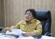 Pemerintah Pusat Sepakat Benahi Tata Kelola RSUD di Provinsi Papua