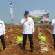 Akselerasi Swasembada Pangan, Kementan Gelar Tanam Serentak Komoditas Perkebunan di 12 Provinsi