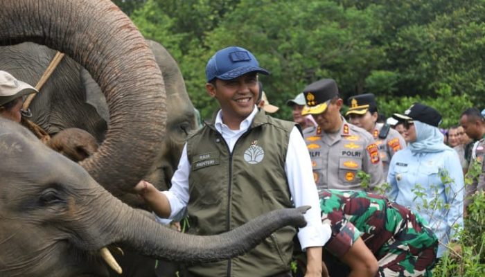 Kebijakan Menhut Dinilai Perkuat Posisi Indonesia dalam Konservasi Gajah Dunia