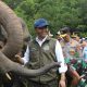 Kebijakan Menhut Dinilai Perkuat Posisi Indonesia dalam Konservasi Gajah Dunia
