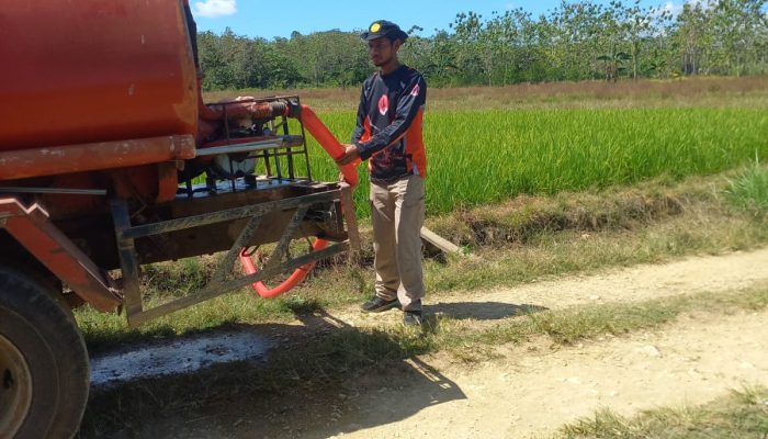 Sawah Terancam Gagal Panen, Tani Merdeka Kab Muna Berharap Pemerintah Pusat Percepat Pembangunan Irigasi