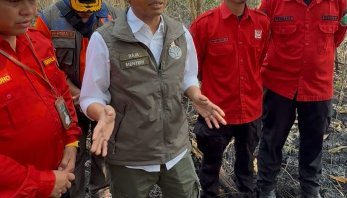Tinjau Karhutla Kalsel, Menhut Raja Antoni: Api Sudah Tak Terlihat, tapi Gambut Masih Berasap