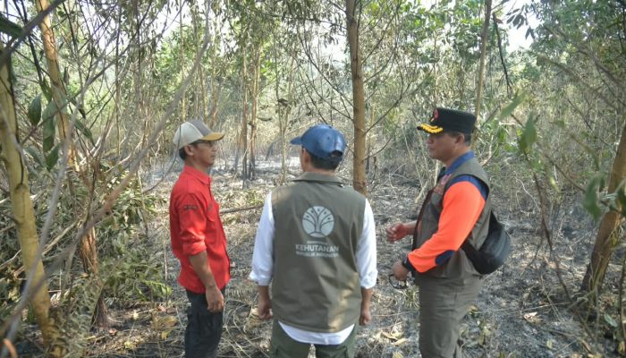 Menhut Raja Antoni Turun ke Lokasi Karhutla Kalsel, Operasi Pemadaman Diperkuat