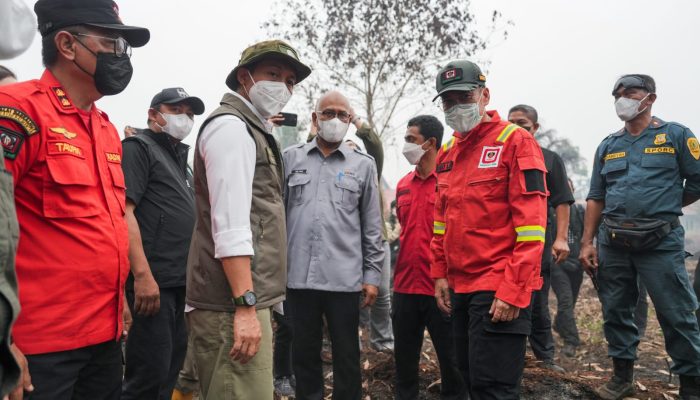 Menhut Raja Antoni Pantau Langsung Karhutla Kubu Raya Kalbar, Pendinginan Dimassifkan
