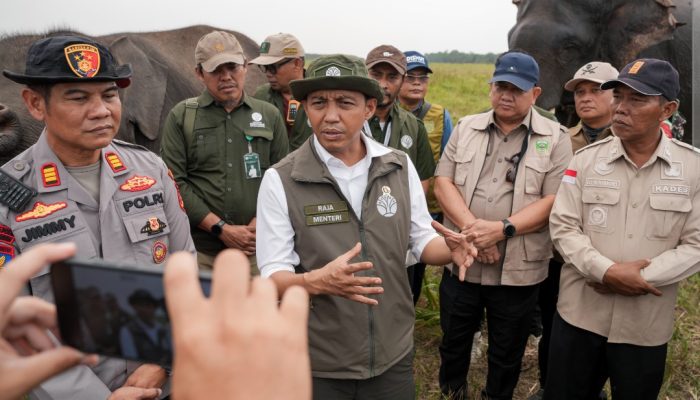 Perkuat Perlindungan Satwa dari Karhutla, Menhut Raja Antoni: Mereka Tak Bisa Minta Tolong